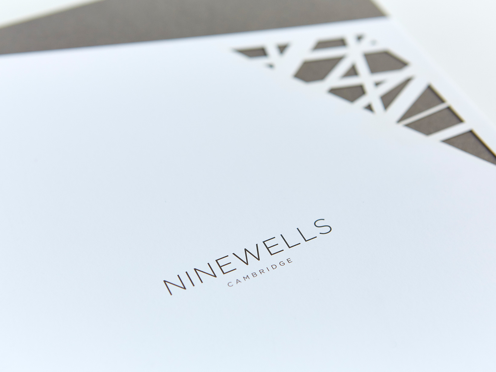 Ninewells - DS.Emotion